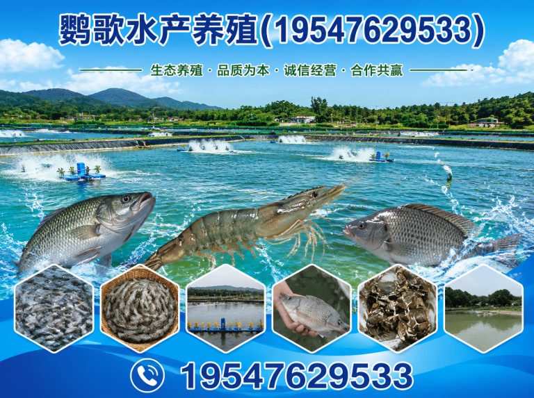 大邑县鹦歌水产养殖展示图